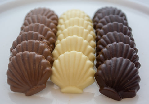 Chocolate Sea shells