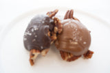 Sea Salt Pecan Turtle