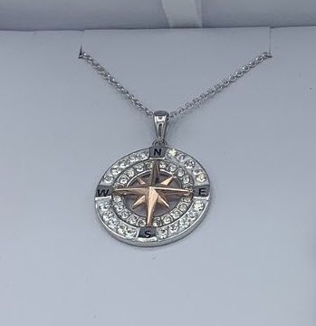 SS Swarovski Compass with Rose Plate Necklace - ShanOre